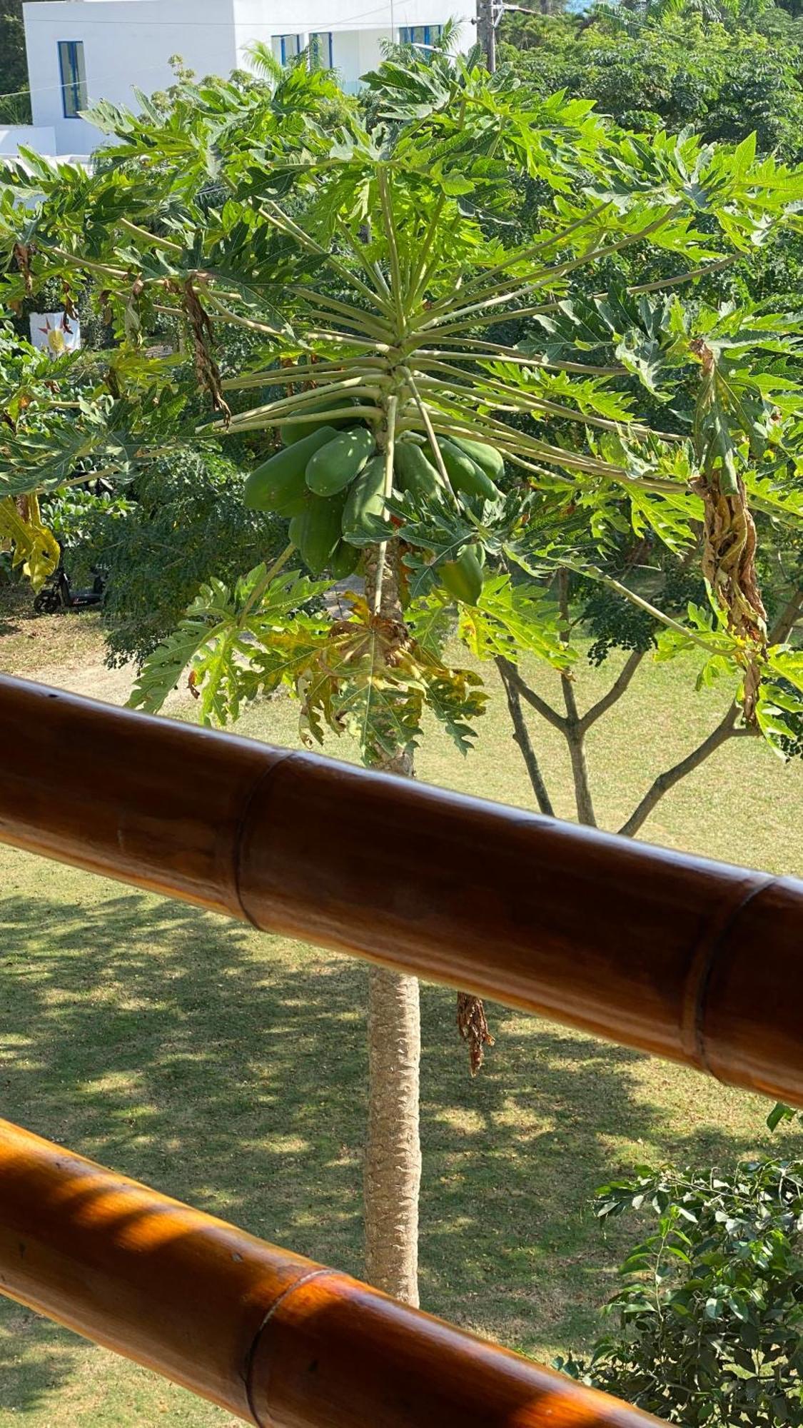 Hosteria Guachapeli Las Tunas Ngoại thất bức ảnh